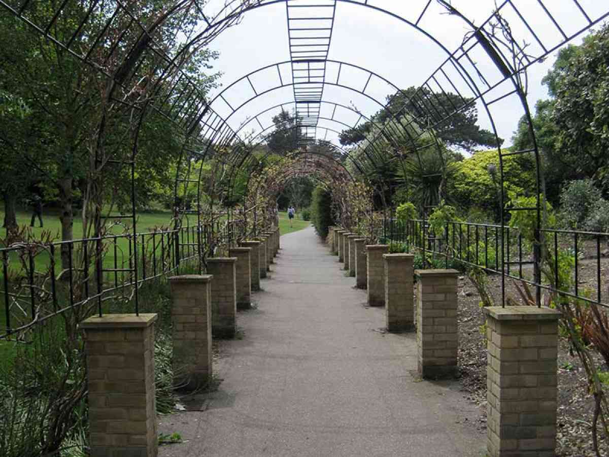 Ventnor Botanic Garden picture gallery